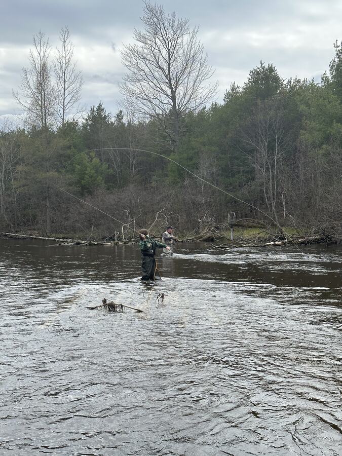 Two anglers wading the Au Sable Holy Water, which stays open year-round